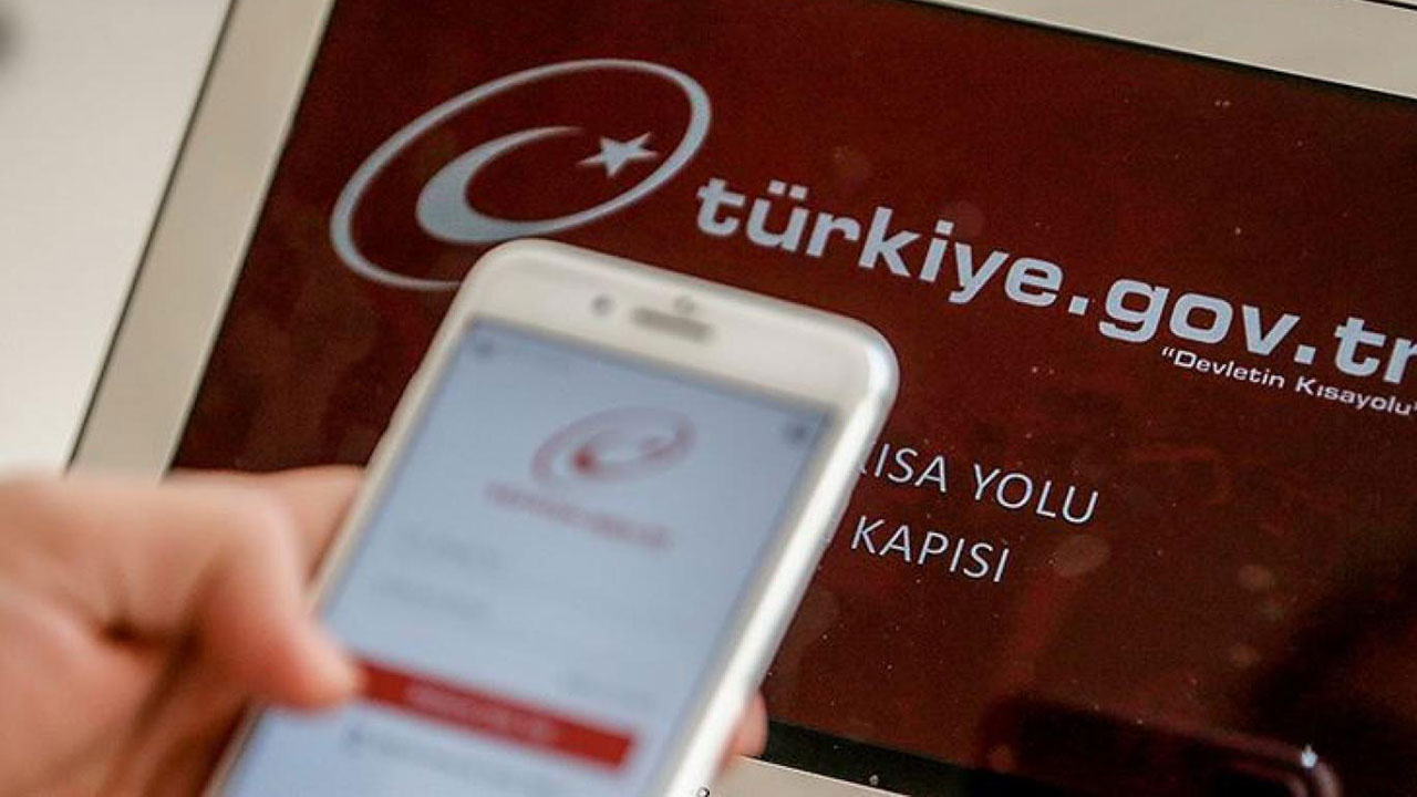 Как оплатить налог в Турции? Сервис e-Devlet для иностранцев